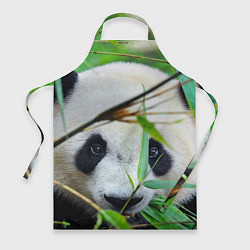 Фартук кулинарный Панда в лесу, цвет: 3D-принт