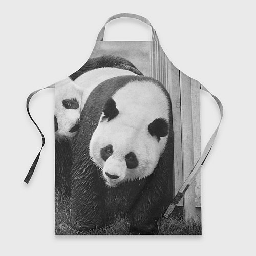 Фартук Большая панда / 3D-принт – фото 1