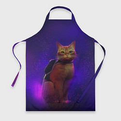 Фартук Кот Stray