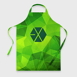 Фартук Exo green poly