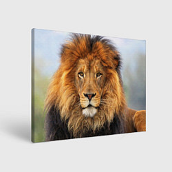 Холст прямоугольный Красавец лев, цвет: 3D-принт