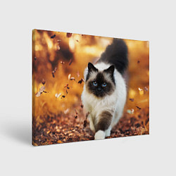 Картина прямоугольная Котик в листьях