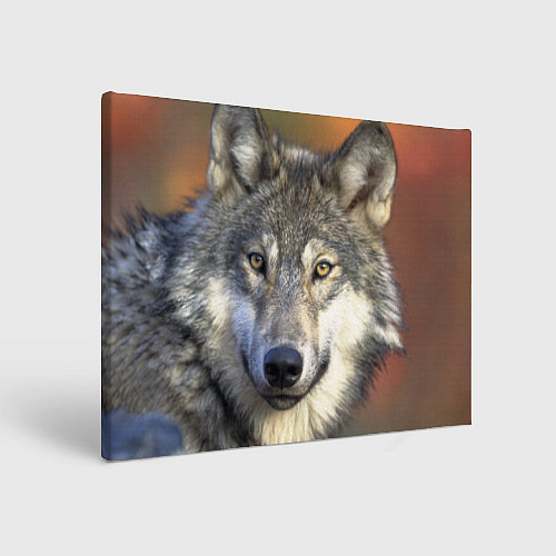 Картина прямоугольная Улыбка волка / 3D-принт – фото 1