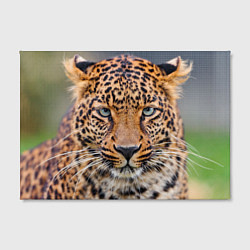 Холст прямоугольный Грустный леопард, цвет: 3D-принт — фото 2