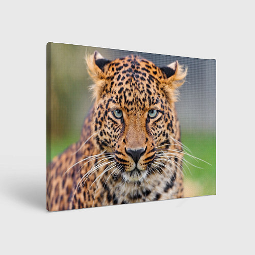 Картина прямоугольная Грустный леопард / 3D-принт – фото 1