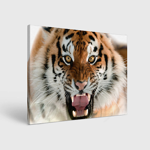 Картина прямоугольная Свирепый тигр / 3D-принт – фото 1