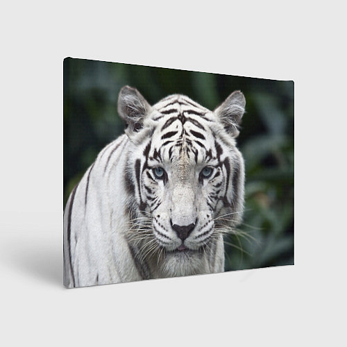 Картина прямоугольная Белый тигр / 3D-принт – фото 1