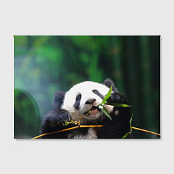 Холст прямоугольный Панда на ветке, цвет: 3D-принт — фото 2