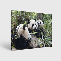 Холст прямоугольный Семейка панд, цвет: 3D-принт