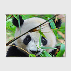Холст прямоугольный Панда в лесу, цвет: 3D-принт — фото 2