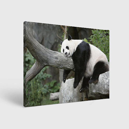 Картина прямоугольная Большая уставшая панда / 3D-принт – фото 1