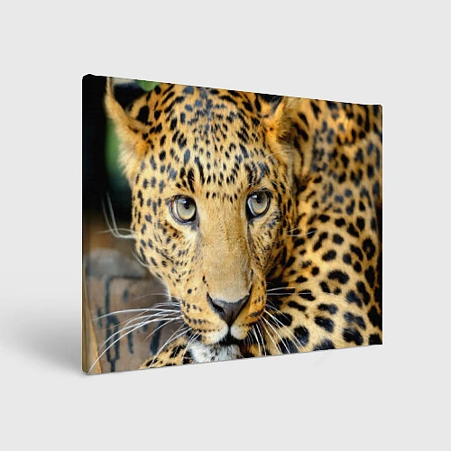Картина прямоугольная Улыбка леопарда / 3D-принт – фото 1