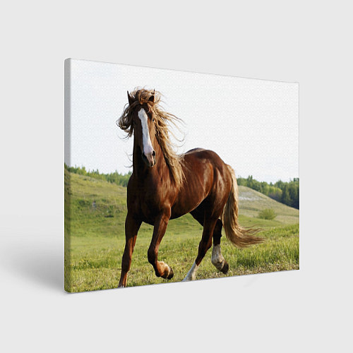 Картина прямоугольная Бегущая лошадь / 3D-принт – фото 1