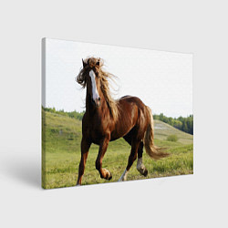 Картина прямоугольная Бегущая лошадь