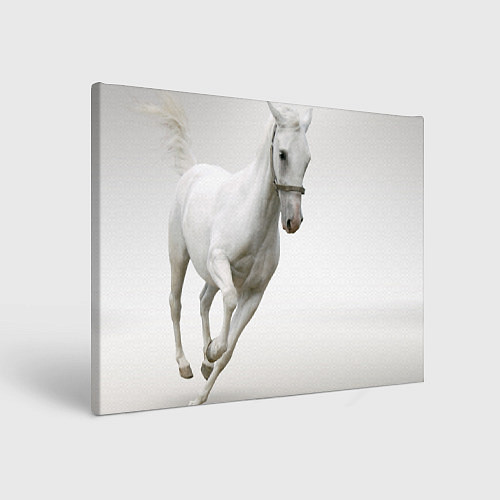 Картина прямоугольная Белый конь / 3D-принт – фото 1
