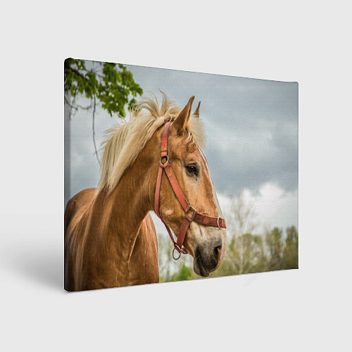 Картина прямоугольная Игривая лошадка / 3D-принт – фото 1