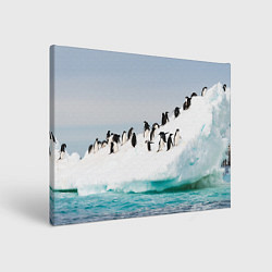Картина прямоугольная Пингвины на айсберге