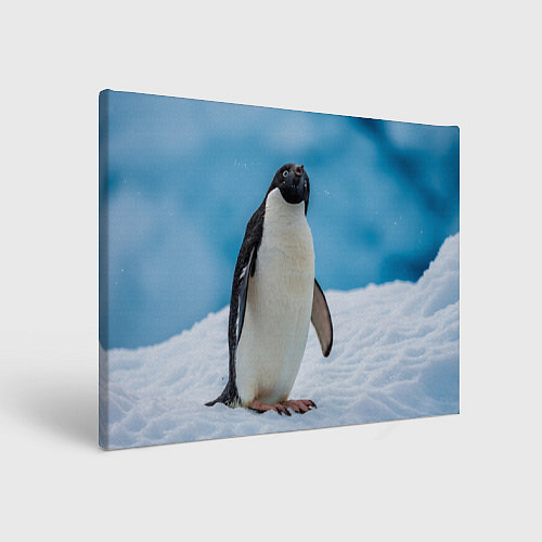 Картина прямоугольная Пингвин на айсберге / 3D-принт – фото 1