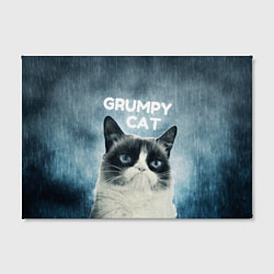 Холст прямоугольный Grumpy Cat, цвет: 3D-принт — фото 2