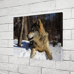 Холст прямоугольный Волк лежит на снегу, цвет: 3D-принт — фото 2