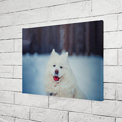 Холст прямоугольный САМОЕД, цвет: 3D-принт — фото 2