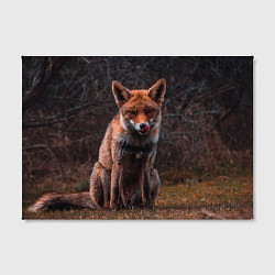 Холст прямоугольный Хищная лисица, цвет: 3D-принт — фото 2