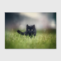 Холст прямоугольный Черный кот на лугу, цвет: 3D-принт — фото 2