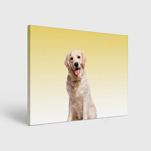 Картина прямоугольная Лабрадор ретривер пес / 3D-принт – фото 1