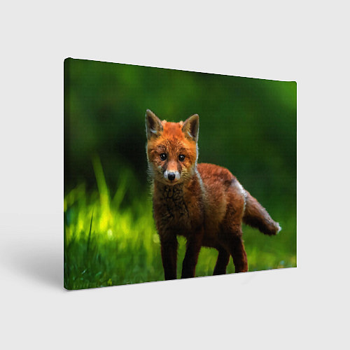 Картина прямоугольная Маленький лисенок / 3D-принт – фото 1
