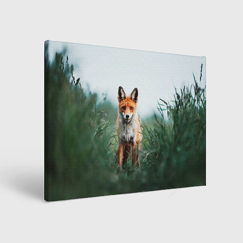 Картина прямоугольная Лисица в зелени / 3D-принт – фото 1