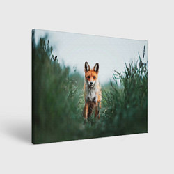 Картина прямоугольная Лисица в зелени