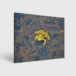 Картина прямоугольная Лягушка