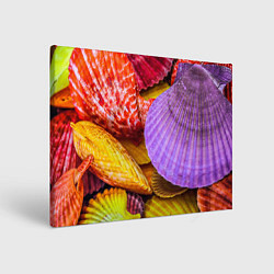 Холст прямоугольный Разноцветные ракушки multicolored seashells, цвет: 3D-принт