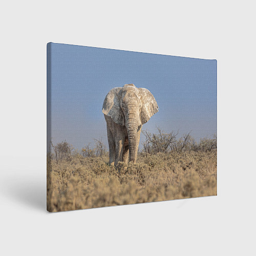 Картина прямоугольная Африканский белый слон / 3D-принт – фото 1