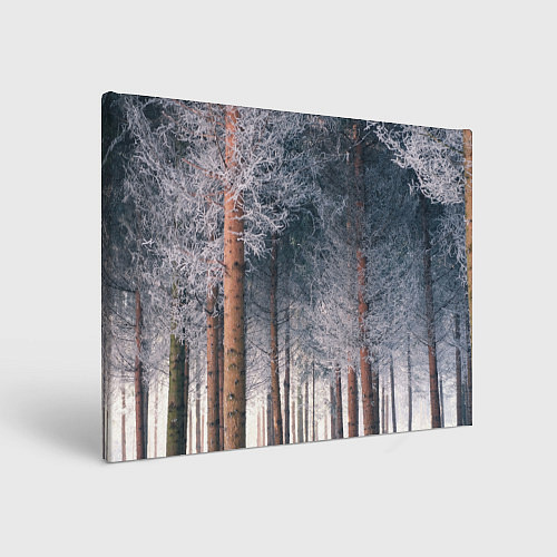 Картина прямоугольная Зимний еловый лес / 3D-принт – фото 1