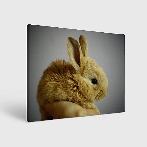 Картина прямоугольная Маленький кролик / 3D-принт – фото 1