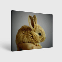 Холст прямоугольный Маленький кролик, цвет: 3D-принт