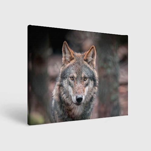 Картина прямоугольная Волк с грустными глазами / 3D-принт – фото 1