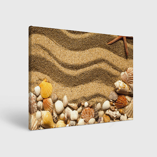 Картина прямоугольная Ракушки на песчаном берегу / 3D-принт – фото 1