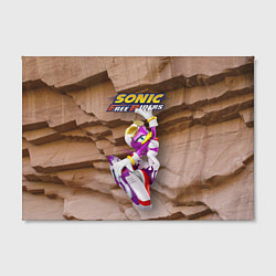 Холст прямоугольный Wave the Swallow - Sonic Free Riders, цвет: 3D-принт — фото 2