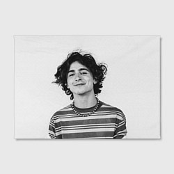 Холст прямоугольный Timothee Chalamet black white photo, цвет: 3D-принт — фото 2