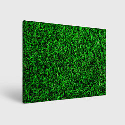 Холст прямоугольный Трава, цвет: 3D-принт