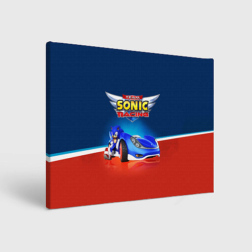 Картина прямоугольная Team Sonic Racing - Ёжик и его точило / 3D-принт – фото 1