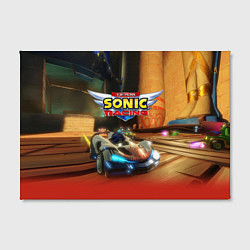 Холст прямоугольный Team Sonic racing - hedgehog - video game, цвет: 3D-принт — фото 2