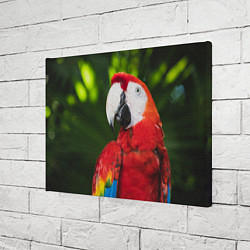 Холст прямоугольный Красный попугай Ара, цвет: 3D-принт — фото 2