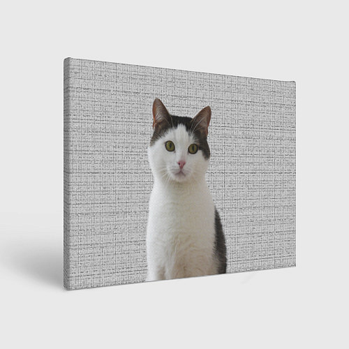 Картина прямоугольная Задумчивый котик / 3D-принт – фото 1