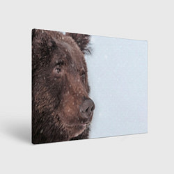 Холст прямоугольный Медведь в интерьере, цвет: 3D-принт