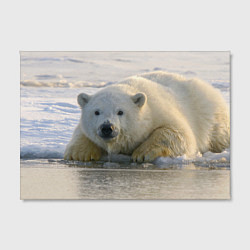 Холст прямоугольный Белый медведь ожидает, цвет: 3D-принт — фото 2