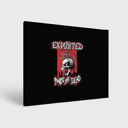 Холст прямоугольный Exploited - punks not dead, цвет: 3D-принт