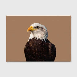 Холст прямоугольный Белоголовый орлан птица, цвет: 3D-принт — фото 2